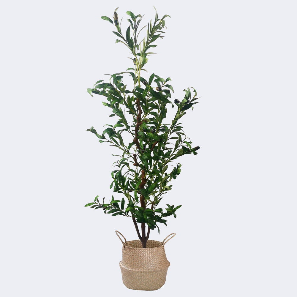 
                  
                    Load image into Gallery viewer, Combo Artificial Potted Plant + Decorative Flower Pots Royal Shade 
                  
                