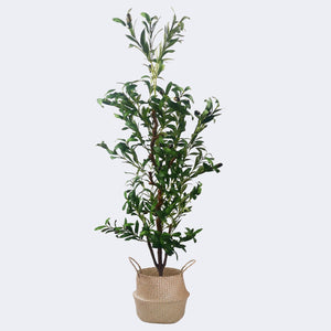 
                  
                    Load image into Gallery viewer, Combo Artificial Potted Plant + Decorative Flower Pots Royal Shade 
                  
                