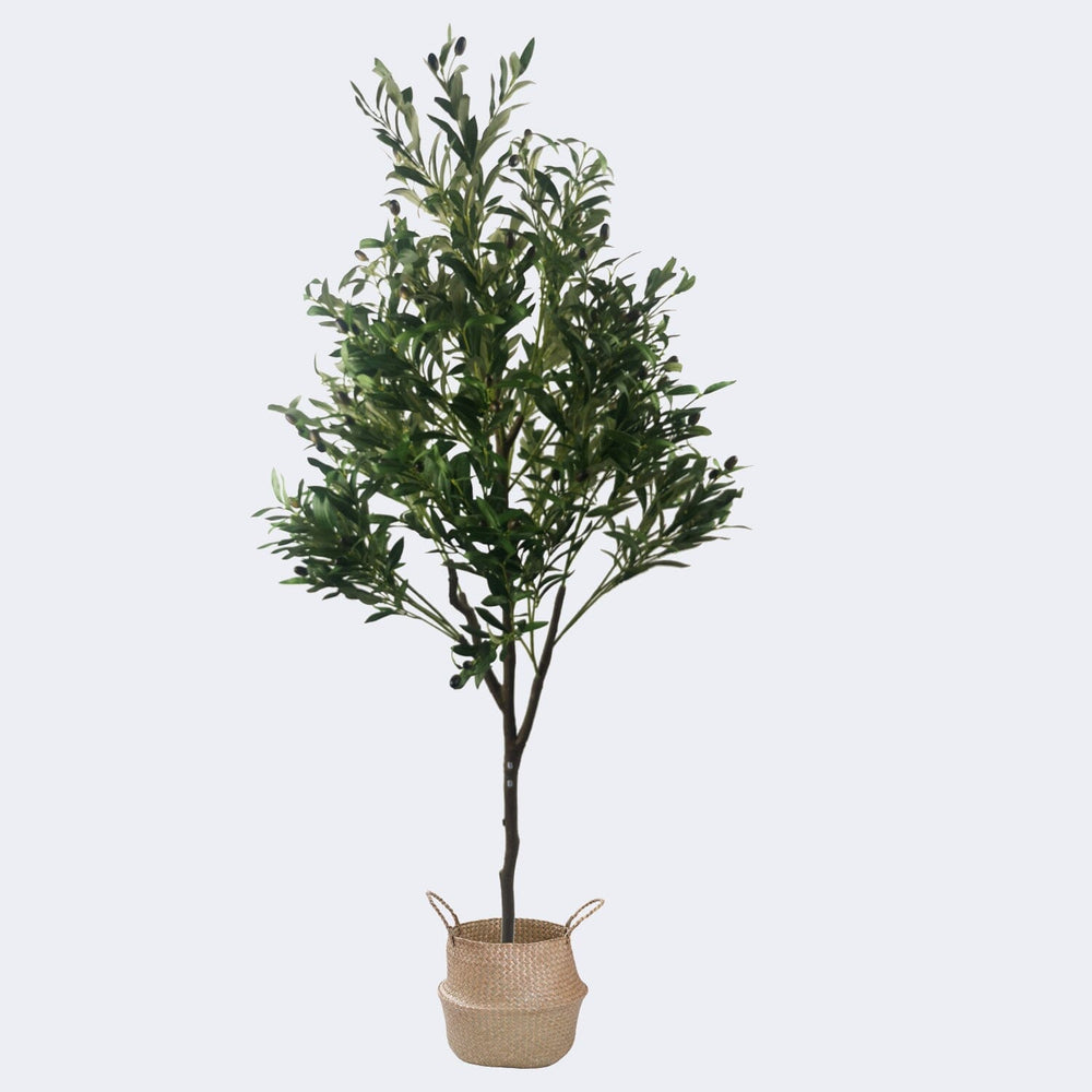 
                  
                    Load image into Gallery viewer, Combo Artificial Potted Plant + Decorative Flower Pots Royal Shade 
                  
                