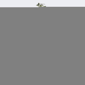 
                  
                    Load image into Gallery viewer, Combo Artificial Potted Plant + Decorative Flower Pots Royal Shade 
                  
                