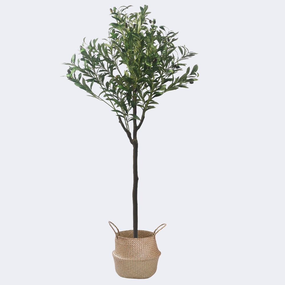 Combo Artificial Potted Plant + Decorative Flower Pots Royal Shade 59x16x16 Tan Olive A