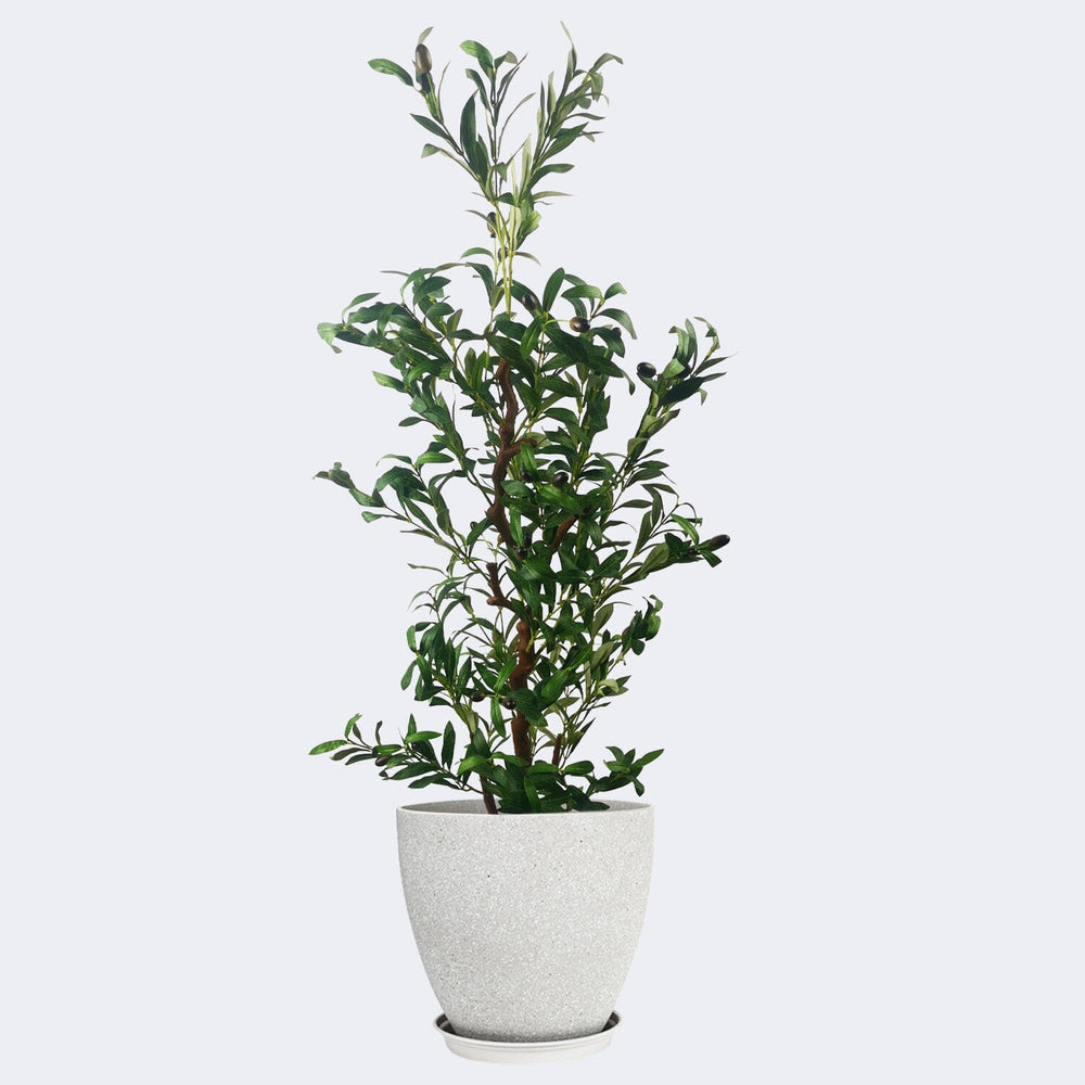 
                  
                    Load image into Gallery viewer, Combo Artificial Potted Plant + Decorative Flower Pots Royal Shade 
                  
                