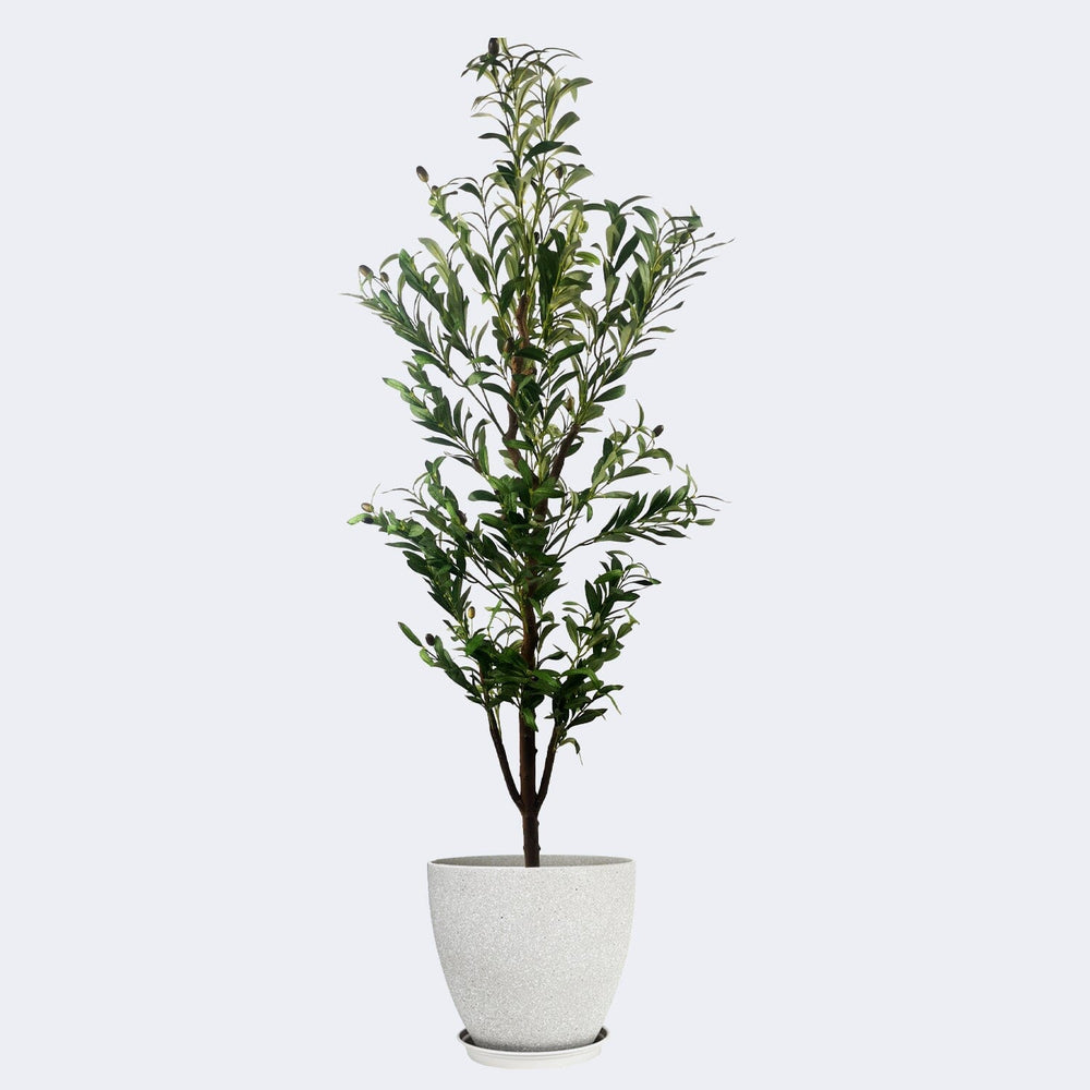 
                  
                    Load image into Gallery viewer, Combo Artificial Potted Plant + Decorative Flower Pots Royal Shade 
                  
                