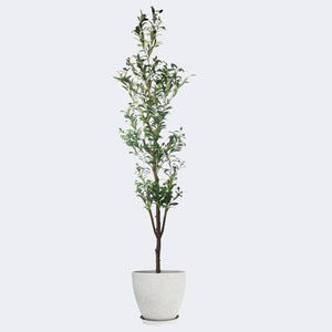 
                  
                    Load image into Gallery viewer, Combo Artificial Potted Plant + Decorative Flower Pots Royal Shade 
                  
                