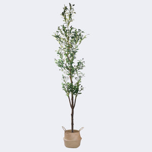 
                  
                    Load image into Gallery viewer, Combo Artificial Potted Plant + Decorative Flower Pots Royal Shade 
                  
                