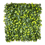 Yellow Tip Gardenia Leaves (12-Pack) - ColourTree
