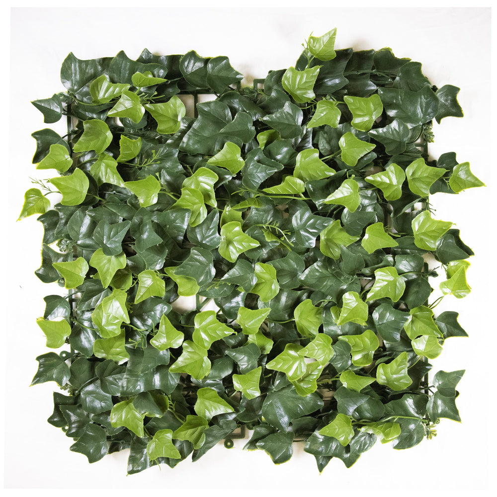 Multi-Layer Sweet Potato Leaves (12-Pack) - ColourTree