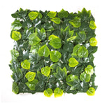 Birch Ivy Leaves (12-Pack) - ColourTree